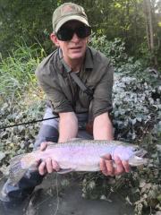 Rainbow trout 2020